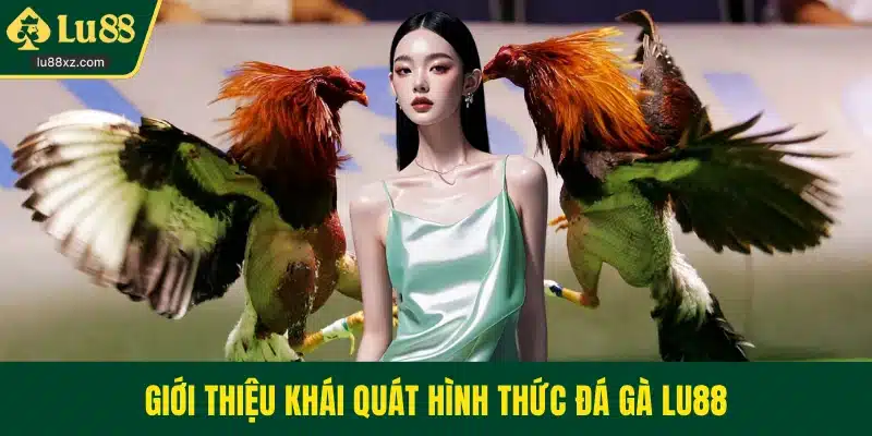 Giới thiệu khái quát hình thức đá gà LU88