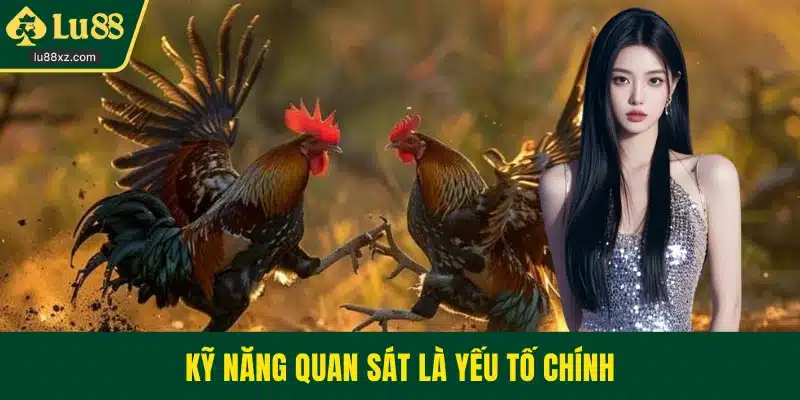 Kỹ năng quan sát là yếu tố chính