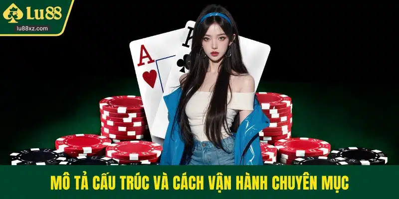 Mô tả cấu trúc và cách vận hành chuyên mục
