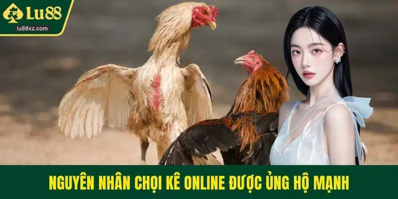 Nguyên nhân chọi kê online được ủng hộ mạnh