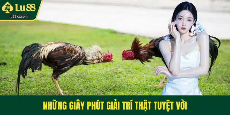 Những giây phút giải trí thật tuyệt vời