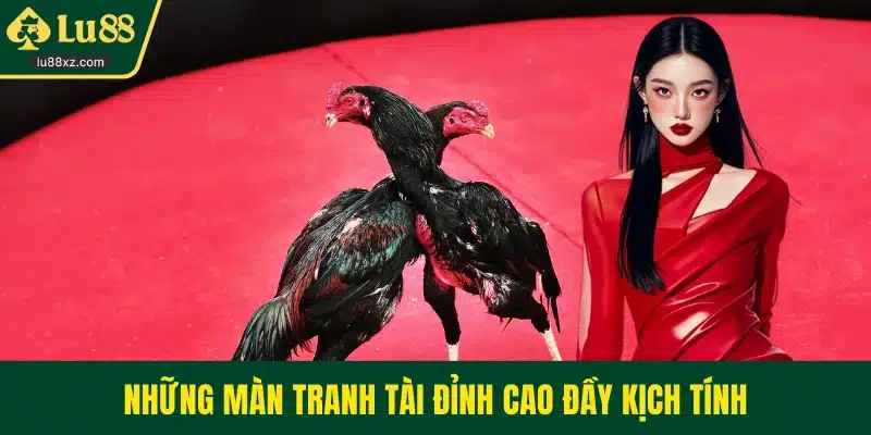 Những màn tranh tài đỉnh cao đầy kịch tính