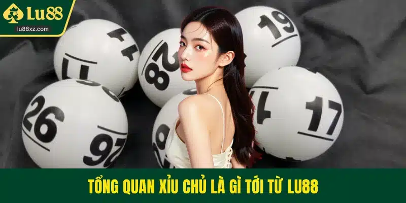 Tổng quan xỉu chủ là gì tới từ LU88