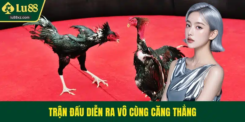 Trận đấu diễn ra vô cùng căng thẳng
